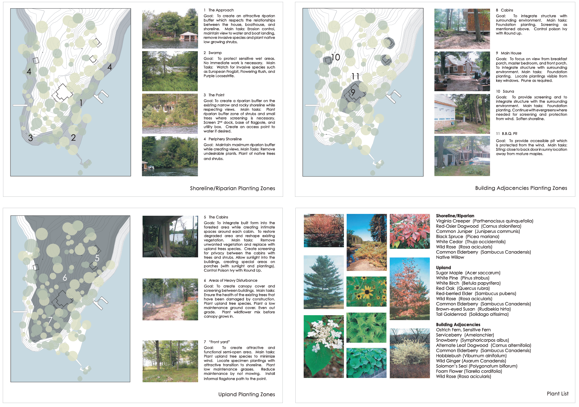 lake cottage forest restoration