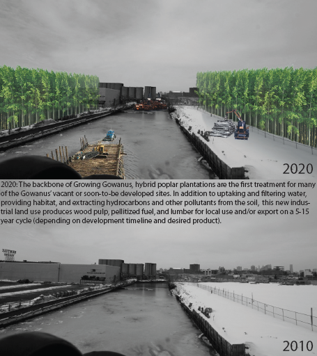 growing gowanus